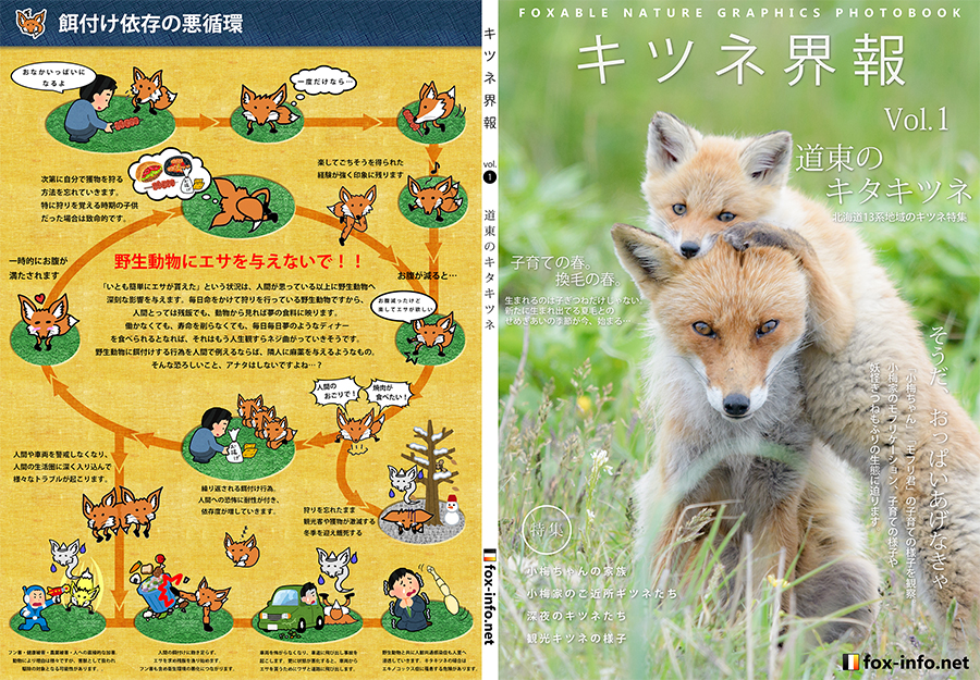 キタキツネ写真集「キツネ界報」 Vol.1 道東のキタキツネ
