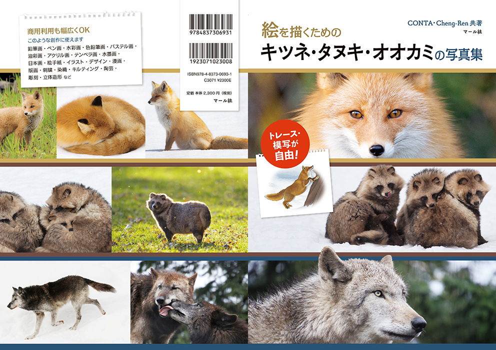 絵を描くためのキツネ・タヌキ・オオカミの写真集 マール社 | キツネ