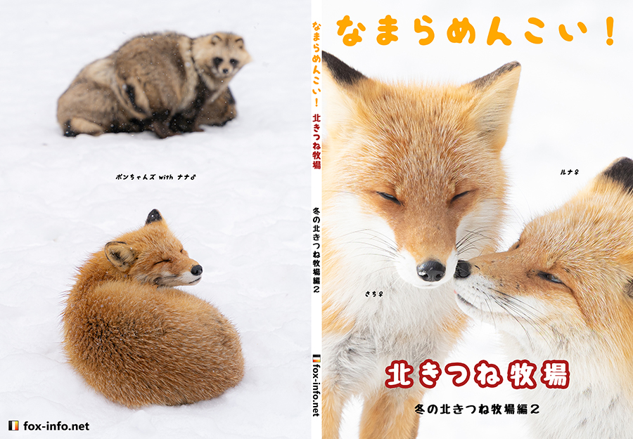 ★きつねページ★ キタキツネ写真集「なまらめんこい!北きつね牧場」-冬の北きつね牧場編